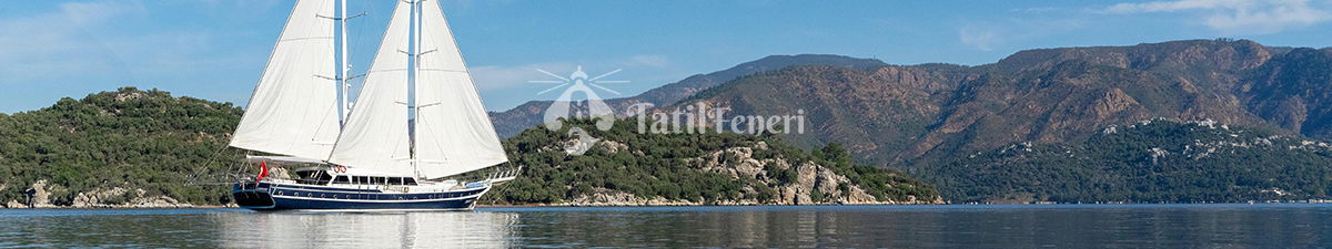 Gulet Saraylı